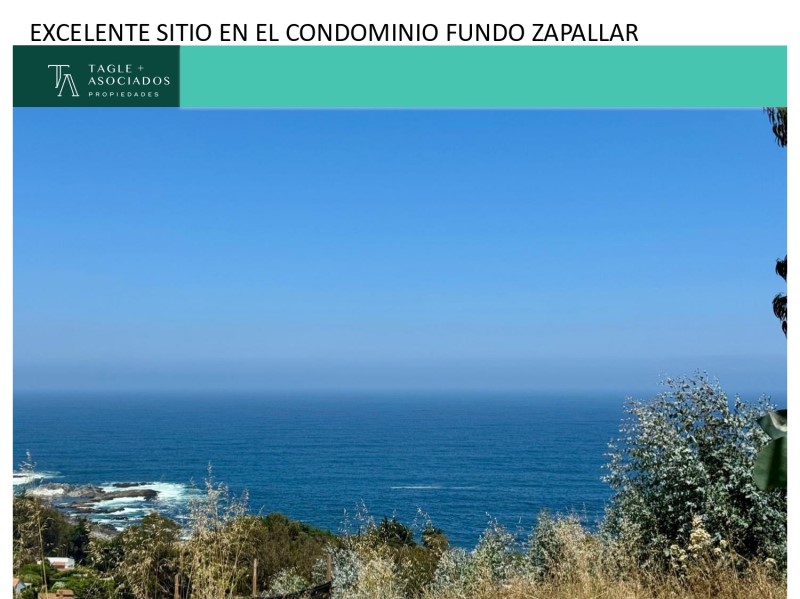 FUNDO ZAPALLAR...&nbsp; &nbsp; &nbsp; &nbsp; &nbsp; &nbsp; &nbsp; &nbsp; &nbsp; &nbsp; &nbsp; &nbsp; &nbsp; &nbsp; &nbsp; &nbsp; &nbsp; &nbsp; &nbsp; &nbsp; &nbsp; &nbsp; &nbsp; &nbsp; &nbsp; &nbsp; &nbsp; &nbsp; &nbsp; &nbsp; &nbsp; &nbsp; &nbsp; &nbsp; &nbsp; &nbsp; 