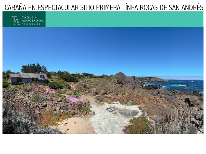 TOTORALILLO, PICHIDANGUI...&nbsp; &nbsp; &nbsp; &nbsp; &nbsp; &nbsp; &nbsp; &nbsp; &nbsp; &nbsp; &nbsp; &nbsp; &nbsp; &nbsp; &nbsp; &nbsp; &nbsp; &nbsp; &nbsp; &nbsp; &nbsp; &nbsp; &nbsp; &nbsp; &nbsp; &nbsp; 