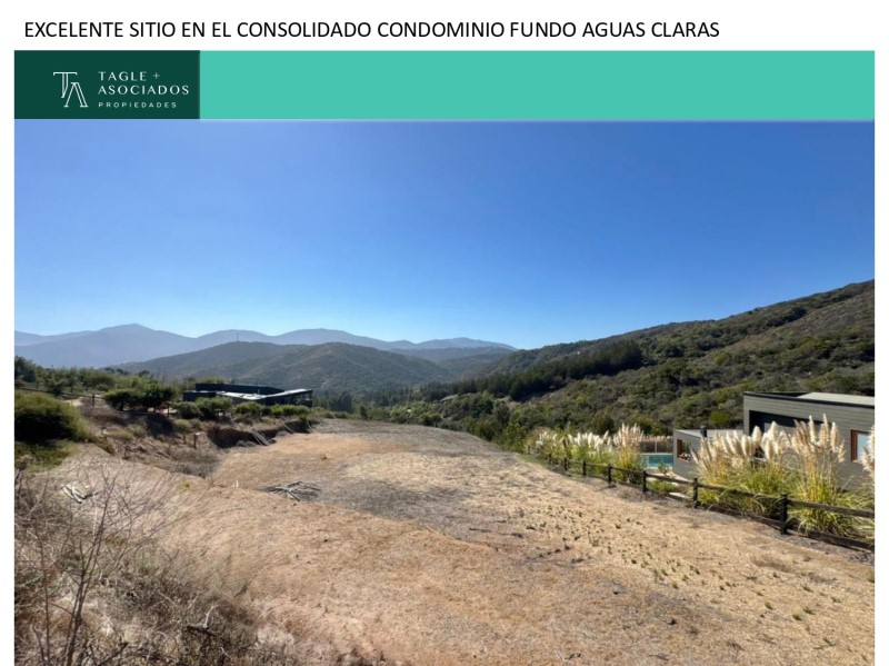 CACHAGUA...&nbsp; &nbsp; &nbsp; &nbsp; &nbsp; &nbsp; &nbsp; &nbsp; &nbsp; &nbsp; &nbsp; &nbsp; &nbsp; &nbsp; &nbsp; &nbsp; &nbsp; &nbsp; &nbsp; &nbsp; &nbsp; &nbsp; &nbsp; &nbsp; &nbsp; &nbsp; &nbsp; &nbsp; &nbsp; &nbsp; &nbsp; &nbsp; &nbsp; &nbsp; &nbsp; &nbsp; &nbsp; &nbsp; &nbsp; &nbsp; &nbsp; &nbsp; 