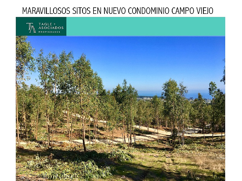 MARAVILLOSOS SITOS EN CONDOMINIO CAMPO VIEJO
