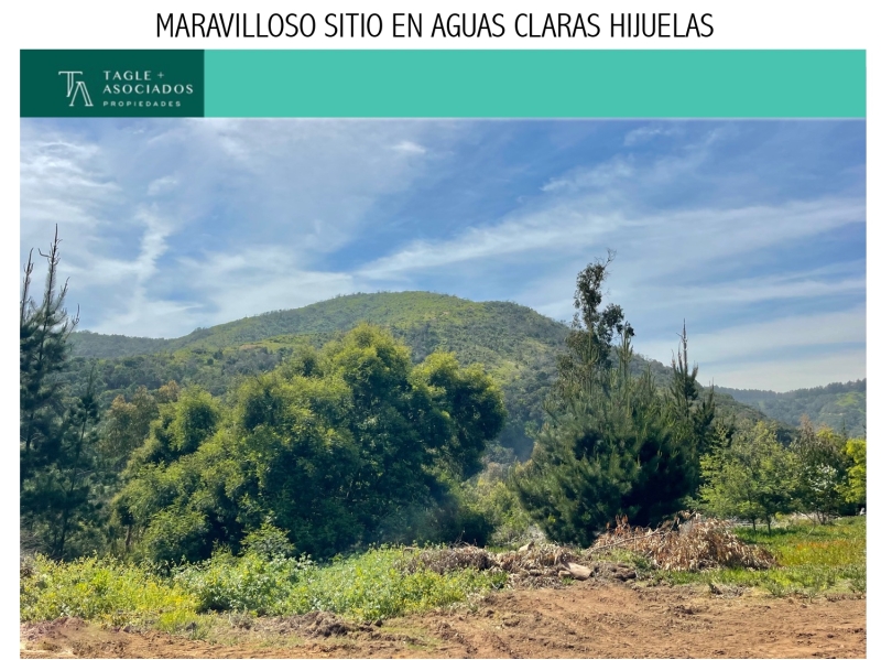 AGUAS CLARAS, SECTOR HIJUELAS