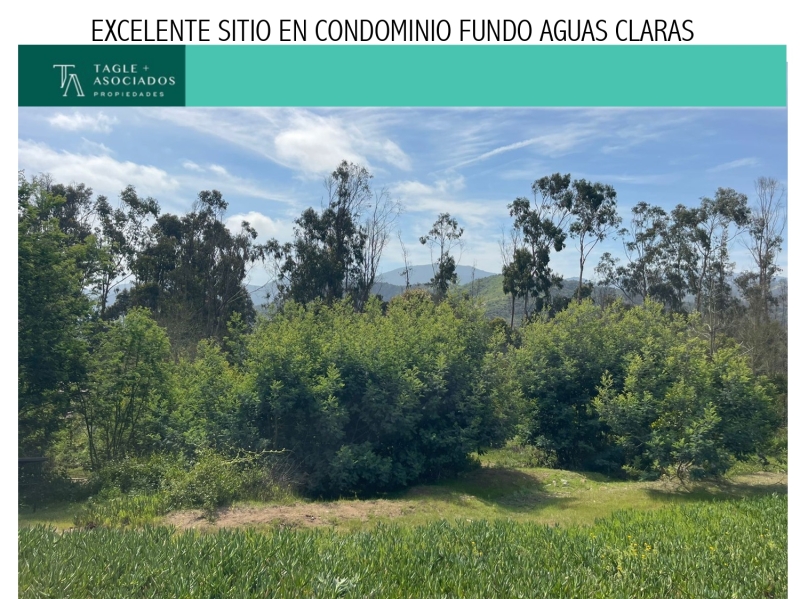 FUNDO AGUAS CLARAS