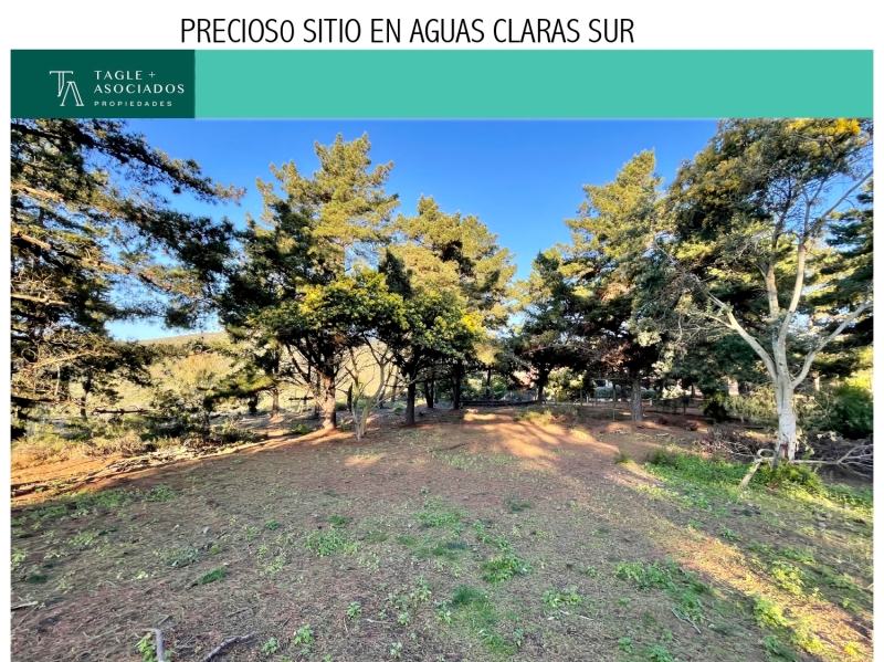 AGUAS CLARAS 