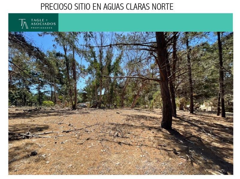 AGUAS CLARAS
