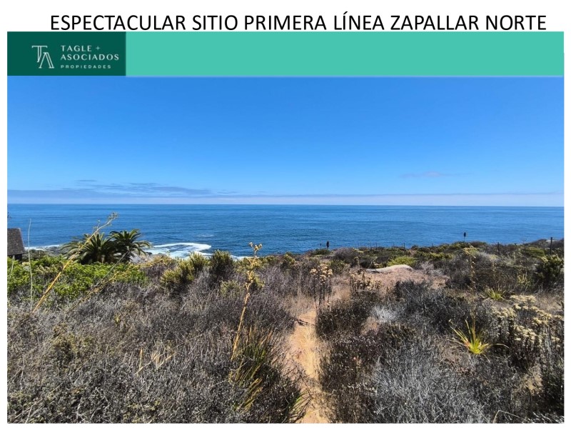 ZAPALLAR NORTE...                                                                        
