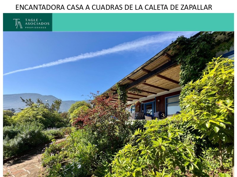 CALETA DE ZAPALLAR...                                                                