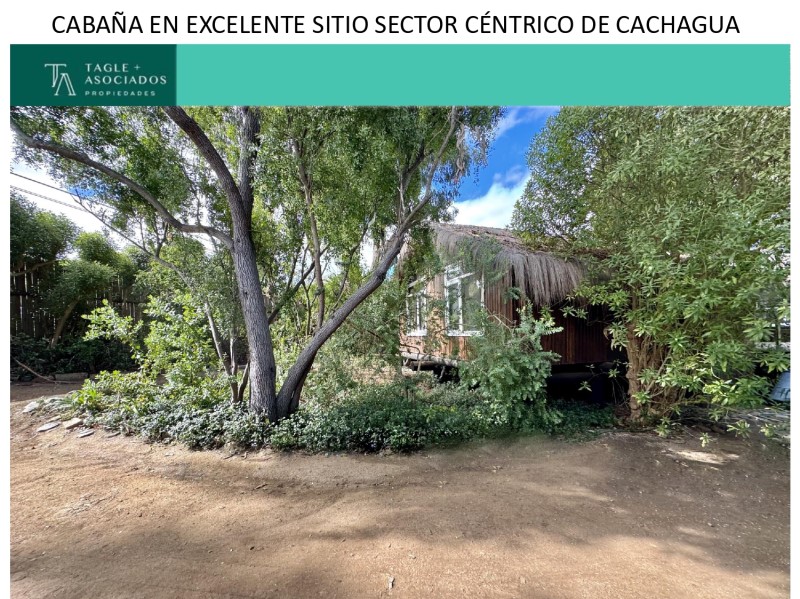 CACHAGUA...                                                                                    