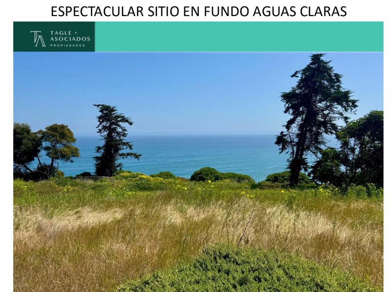 CACHAGUA...                                                                                    
