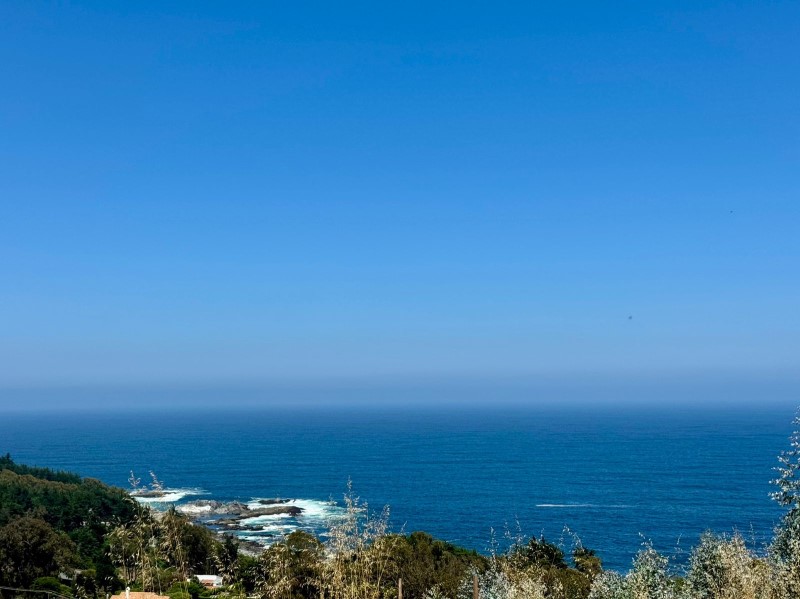 FUNDO ZAPALLAR...&nbsp; &nbsp; &nbsp; &nbsp; &nbsp; &nbsp; &nbsp; &nbsp; &nbsp; &nbsp; &nbsp; &nbsp; &nbsp; &nbsp; &nbsp; &nbsp; &nbsp; &nbsp; &nbsp; &nbsp; &nbsp; &nbsp; &nbsp; &nbsp; &nbsp; &nbsp; &nbsp; &nbsp; &nbsp; &nbsp; &nbsp; &nbsp; &nbsp; &nbsp; &nbsp; &nbsp; 